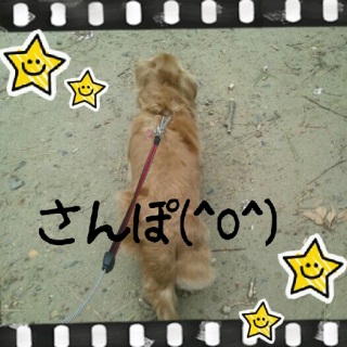 Ԍ