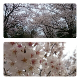 Ԍ